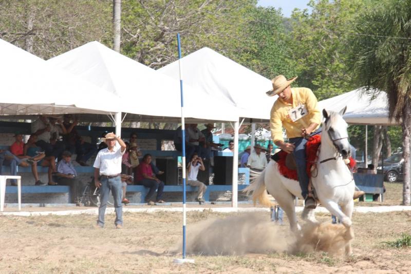 Cavalo pantaneiro é exportado para outras regiões (Foto: Divulgação)
